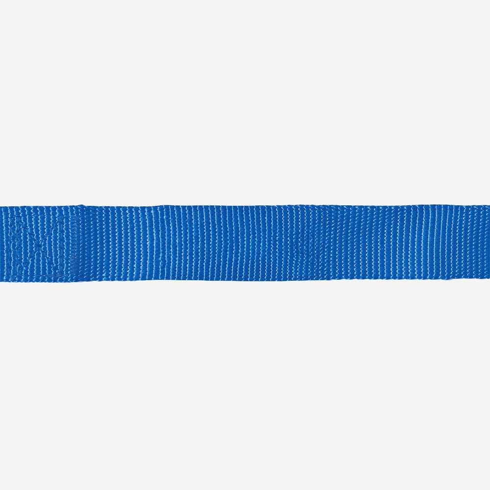 Personalized Dog Leash | Blue