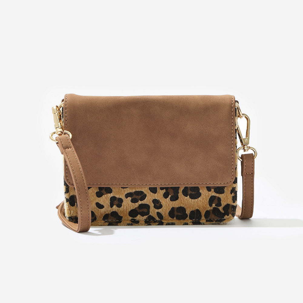 old leopard with hand