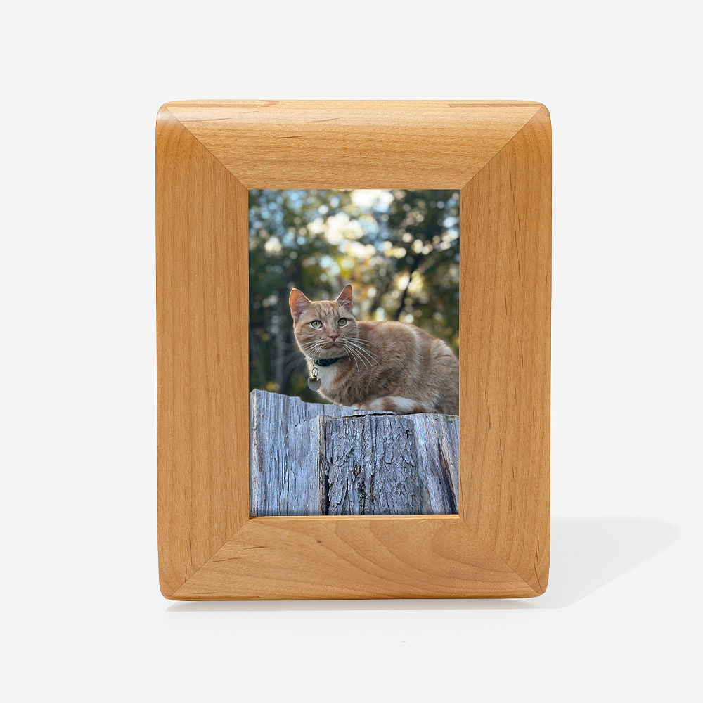 two personalized pet photo frames on pink