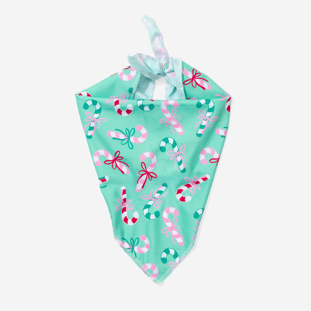 Personalized Dog Bandana | Merry Mint