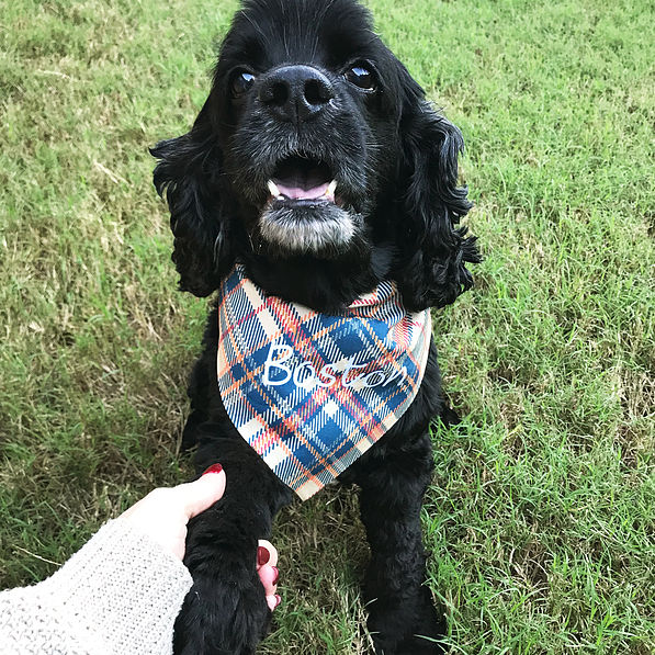 Monogrammed Reversible Dog Bandana in plaid on dog in grass