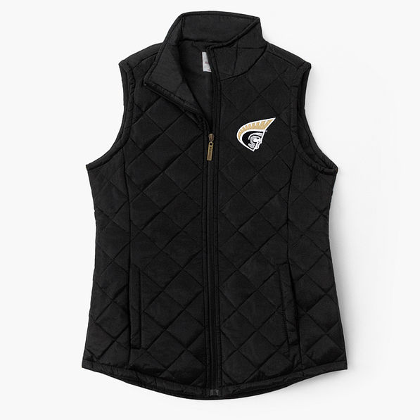 Anderson Puffer Vest in Black