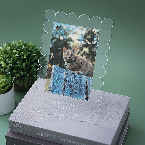 cat photo in scalloped picture frame