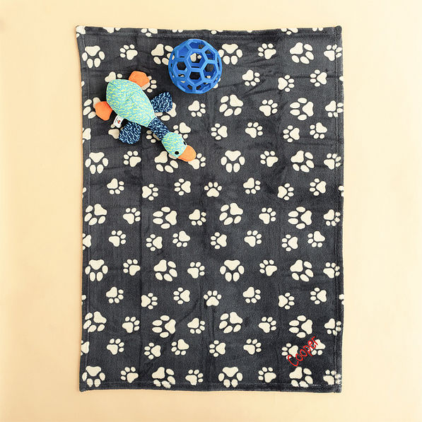 black tan dog blanket flatlay