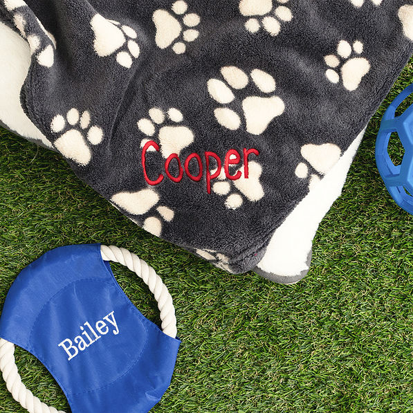 black tan dog blanket with frisbee