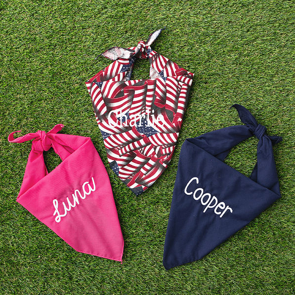 trio dog bandana on turf