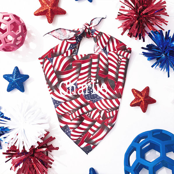 flag dog bandana flatlay