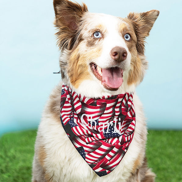flag dog bandana