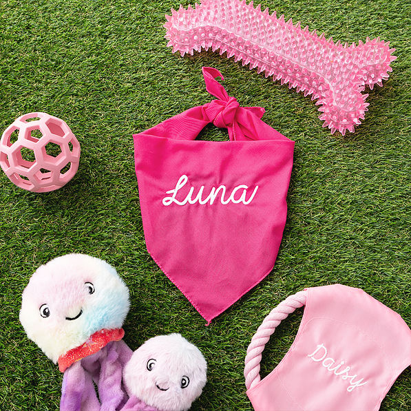 hot pink dog bandana flatlay