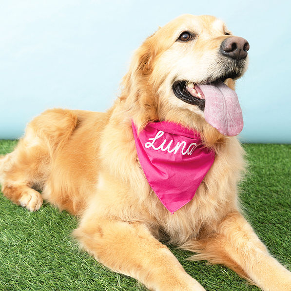 hot pink dog bandana