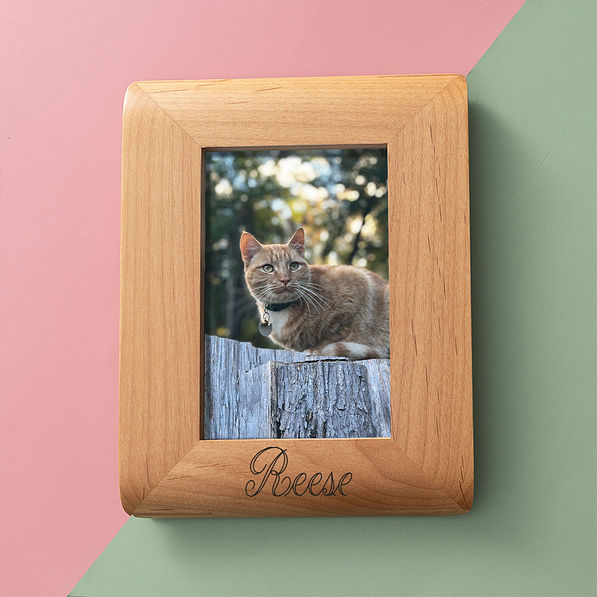 personalized Pet photo frame cat on green and pink