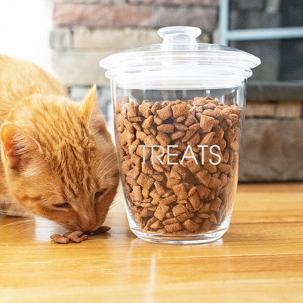 pet treat container with cat