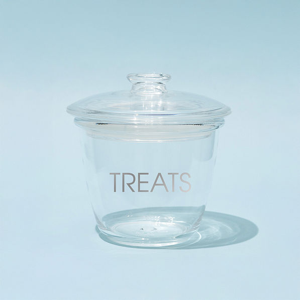 Personalized Pet Treat Container in Small