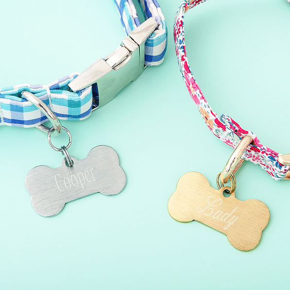duo dog tags studio shot