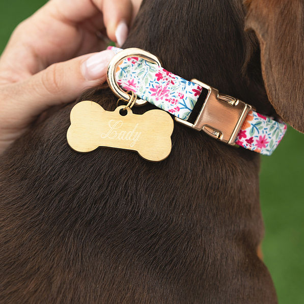 gold dog tag with collar
