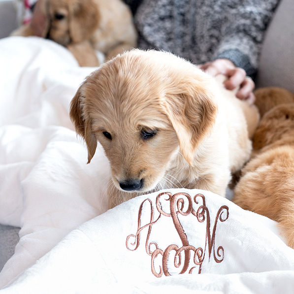 ivory monogrammed sherpa blanket with puppy