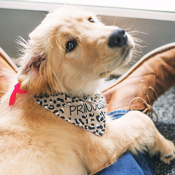 Custom Leopard Print Dog Bandana Reversible