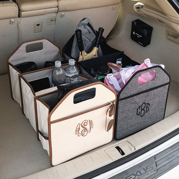 duo trunk organizer