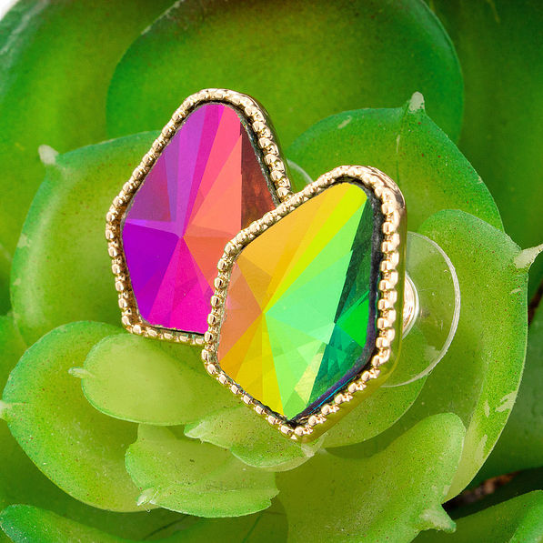 rainbow diamond studs on succulent