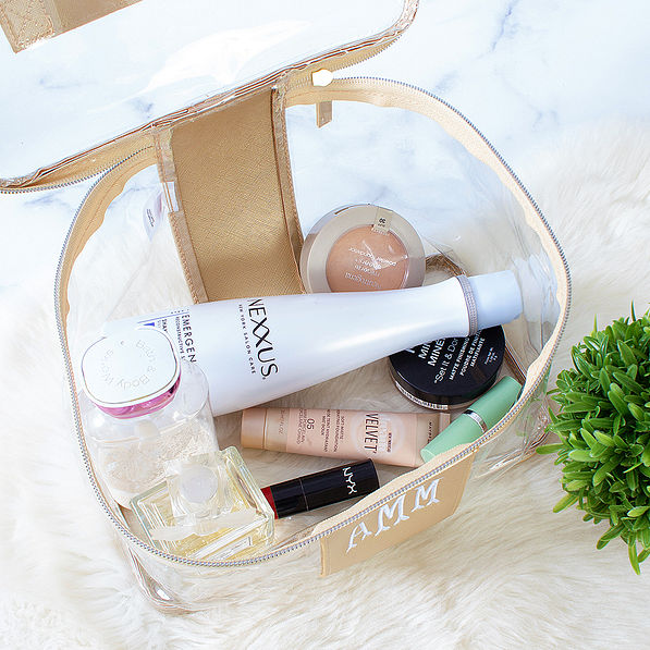 inside gold clear train case bag