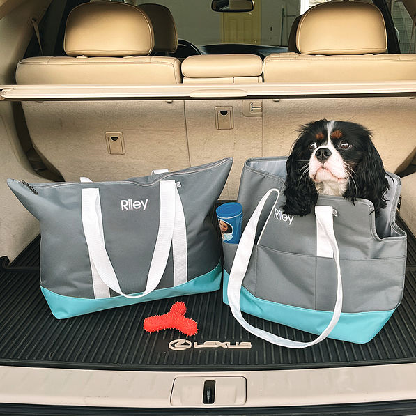 pet carrier and pet supply tote in trunk