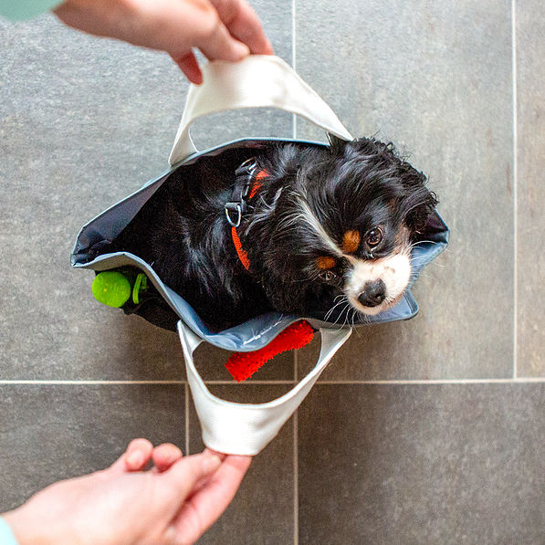 inside of pet carrier