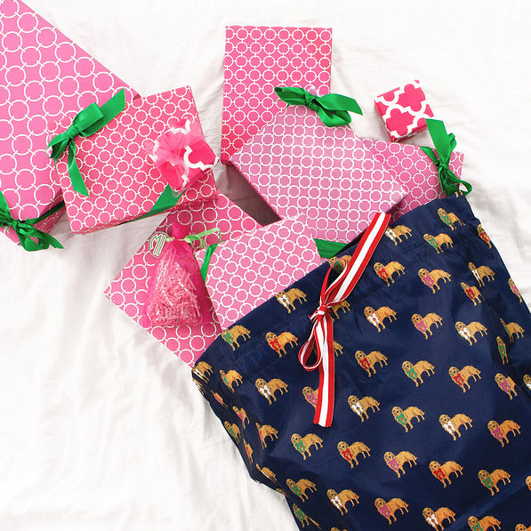 gift sack in navy dog puppy party