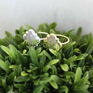 gold and silver quatrefoil rings resting on bush