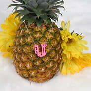 Flamingo Pink Acrylic Monogrammed Necklace with Silver Chain Pineapple