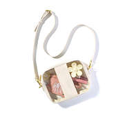 card holder inside clear stadium crossbody bag