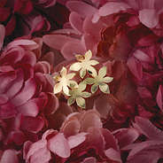 Double Flower Earrings in Flower Setting