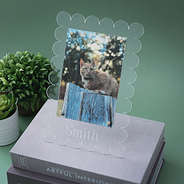 cat photo in scalloped picture frame