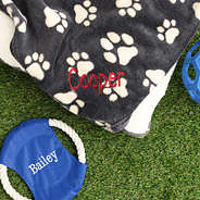 black tan dog blanket with frisbee