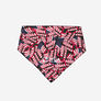 American Flag