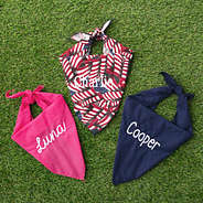 trio dog bandana on turf