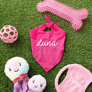 hot pink dog bandana flatlay