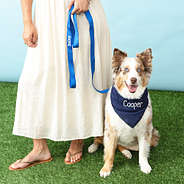 navy dog bandana with leash