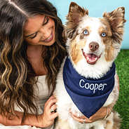 navy dog bandana on dog with peyton