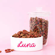 white ceramic pet bowl with food container