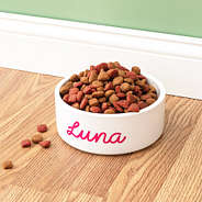 white ceramic pet bowl with food