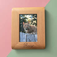 personalized Pet photo frame cat on green and pink
