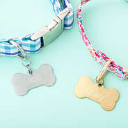 duo dog tags studio shot