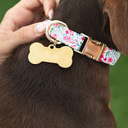 gold dog tag with collar