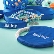 close up of blue personalized dog frisbee and leash