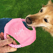 dog biting personalized pink frisbee