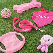 matching pink personalized frisbee leash and bandana