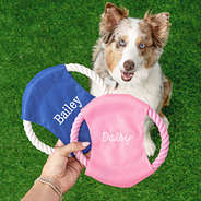 dog with blue and pink monogrammed frisbee