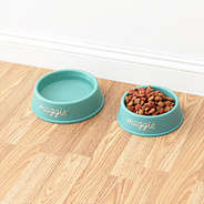 duo pet bowl on wood floor