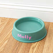 large pet bowl with water on wooden floor