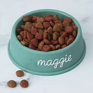 standard pet bowl with food